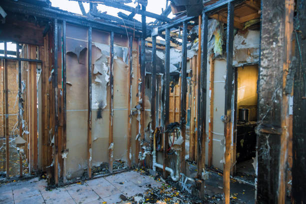 Professional Fire Damage Removal technician working in Walbridge, OH